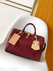LV speedy 30 Travels With Grace Coddington -size 21 x 17 x 30 cm - 1