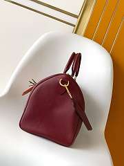 LV speedy 30 Travels With Grace Coddington -size 21 x 17 x 30 cm - 2
