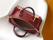 LV speedy 30 Travels With Grace Coddington -size 21 x 17 x 30 cm - 4