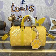 LV Speedy P9 Bandoulière 25 H40 - size  25*15*11cm - 2