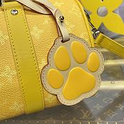 LV Speedy P9 Bandoulière 25 H40 - size  25*15*11cm - 5