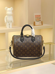 Louis Vuitton Speedy Trunk 25 in Brown/Black size 25x20x27 cm - 1