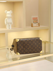 Louis Vuitton Speedy Trunk 25 in Brown/Black size 25x20x27 cm - 2