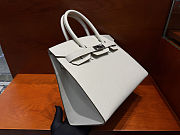 Hermes Birkin 30 Gris Pale Togo Palladium Hardware - 2