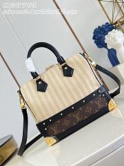 LV Speedy Bandouliére 22 size 24 x 22 x 12 cm - 2