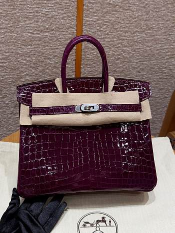 Hermès Birkin 25 – N5 Cassis Niloticus Crocodile