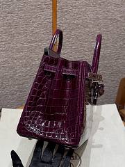 Hermès Birkin 25 – N5 Cassis Niloticus Crocodile - 4