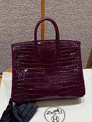 Hermès Birkin 25 – N5 Cassis Niloticus Crocodile - 2