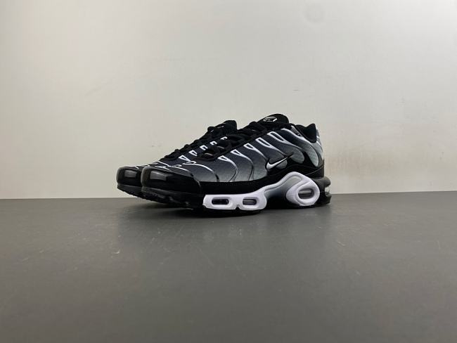 Nike Air Max Plus Black Silver White DM0032-003 - 1