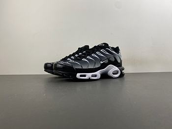 Nike Air Max Plus Black Silver White DM0032-003